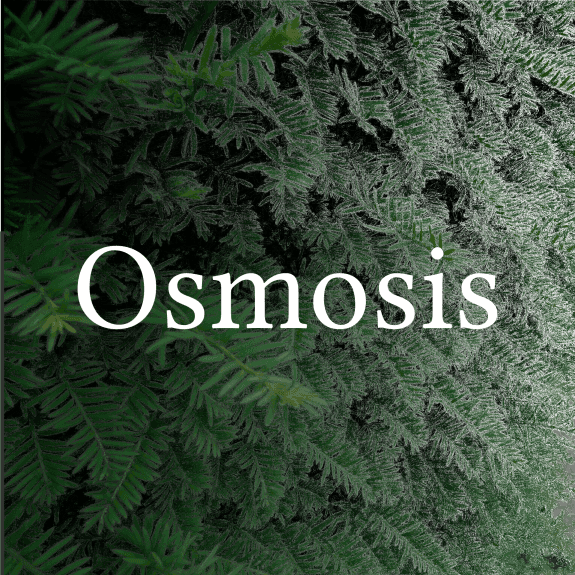 Osmosis